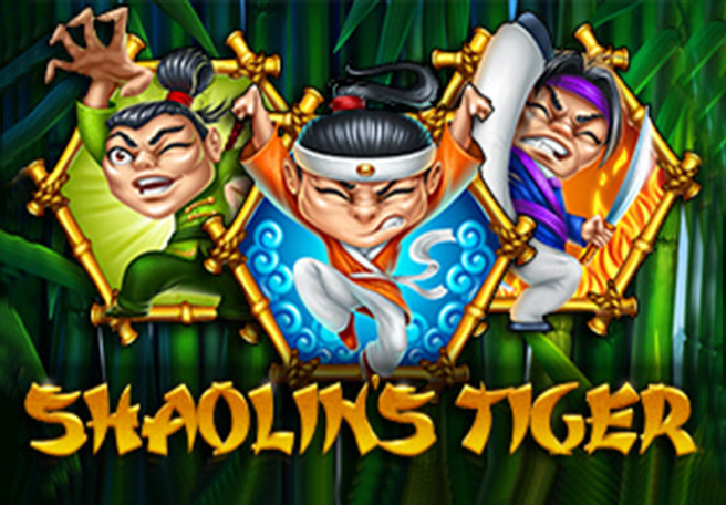 Shaolin's Tiger T'n'P 167