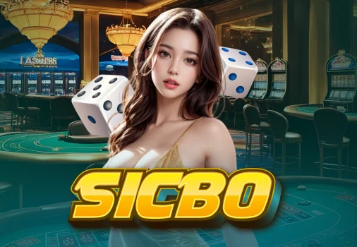 Sicbo 532